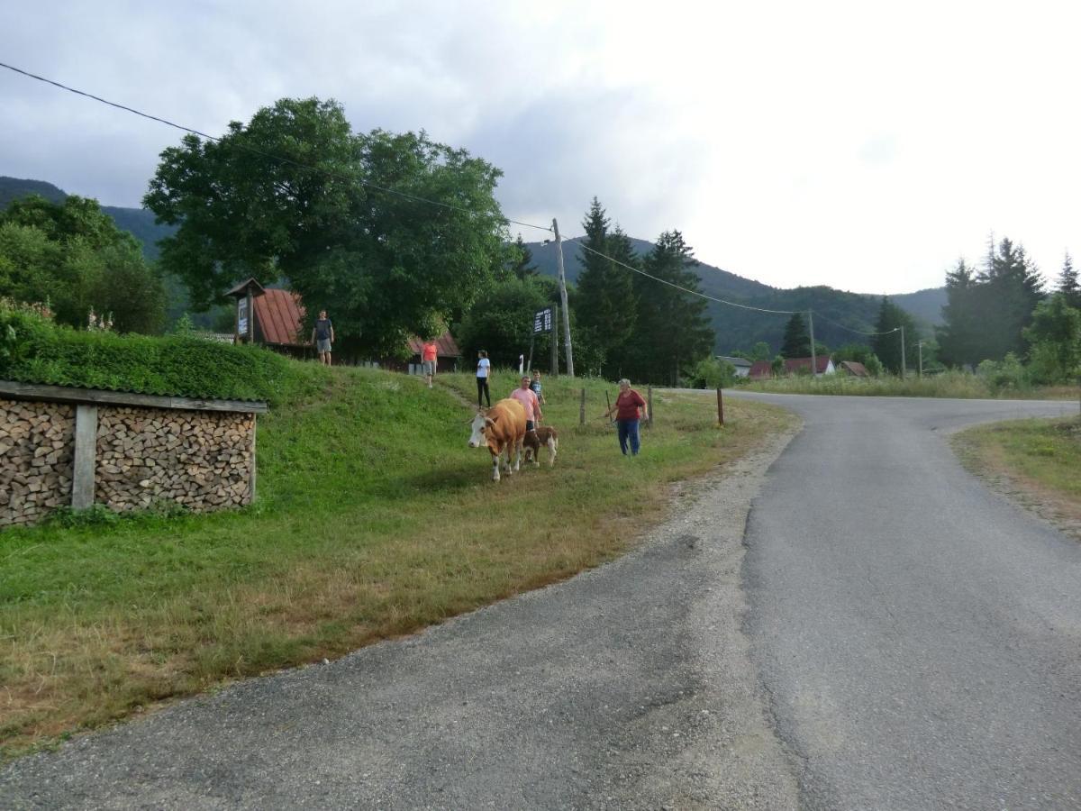 Ethno House Izvor Otel Vrelo Koreničko Dış mekan fotoğraf