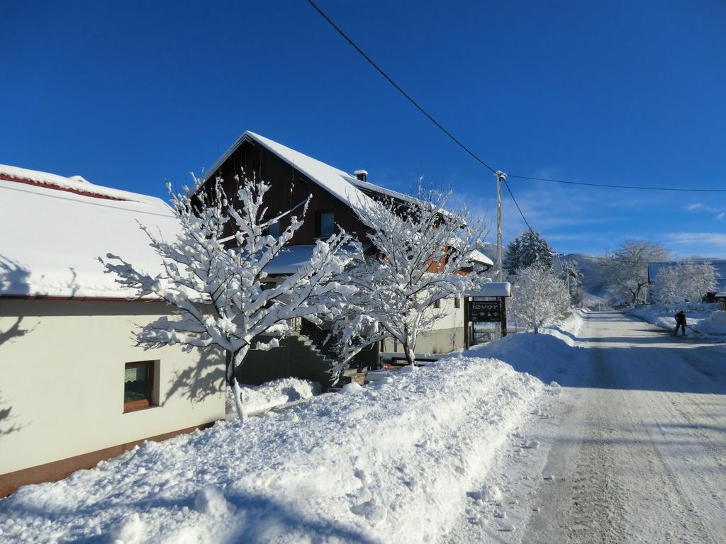 Ethno House Izvor Otel Vrelo Koreničko Dış mekan fotoğraf