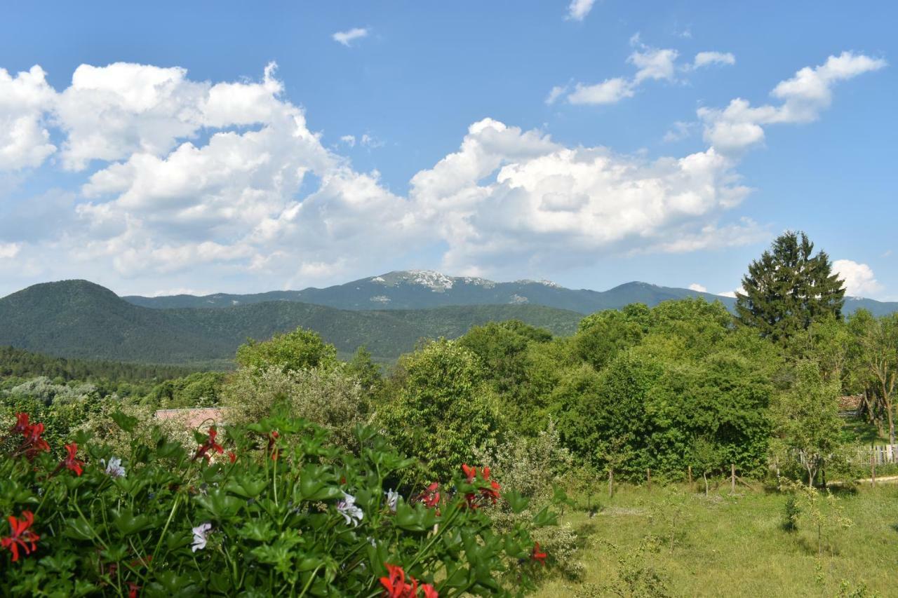 Ethno House Izvor Otel Vrelo Koreničko Dış mekan fotoğraf